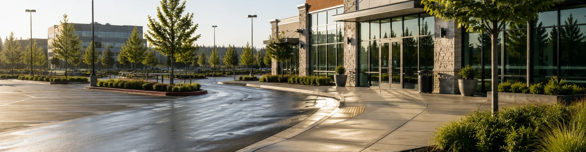 Parking Lot & Sidewalk Cleaning