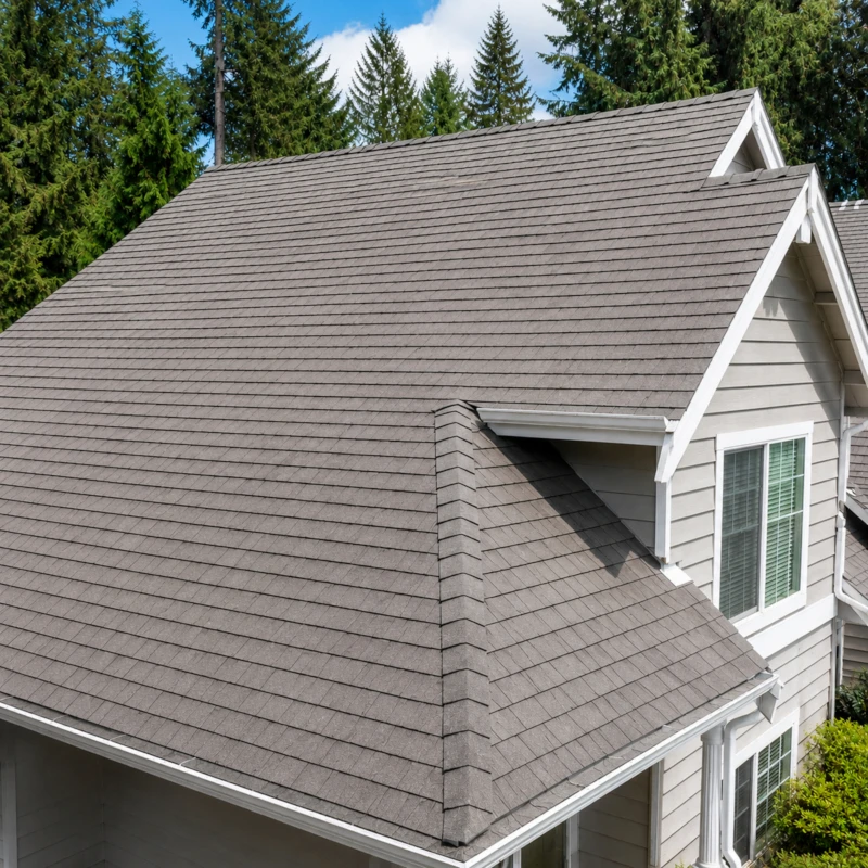 Roof Moss Removal & Surface Cleaning — Redmond